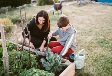 gardening and your home