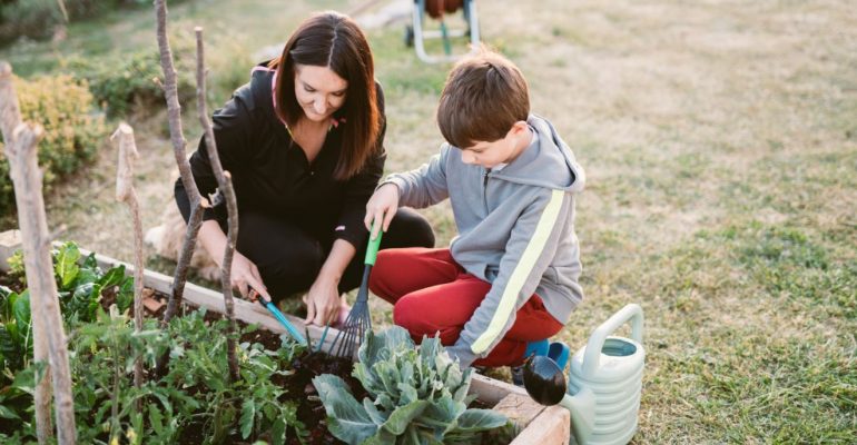 gardening and your home